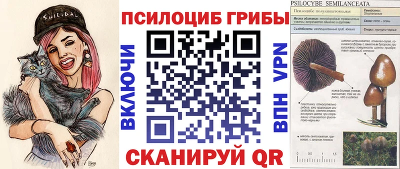 купить закладку  Талдом  Галлюциногенные грибы прущие грибы 